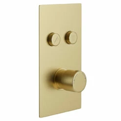 Colore Round Brushed Brass Concealed Push Button Shower Valve - 2 Outlet 10 Colore Round Brushed Brass Concealed Push Button Shower Valve - 2 Outlet -Bathroom Products Sales Store colore brushed brass round concealed push button shower valve left 15846.1652444924
