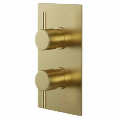 Colore Round Brushed Brass Concealed Twin Thermostatic Shower Valve - 1 Outlet