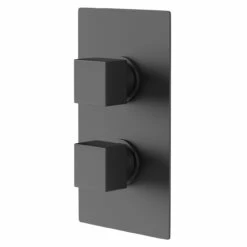 Colore Square Matt Black Concealed Square Twin Thermostatic Shower Valve - 1 Outlet
