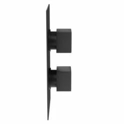 Colore Square Matt Black Concealed Square Twin Thermostatic Shower Valve - 1 Outlet 11 Colore Square Matt Black Concealed Square Twin Thermostatic Shower Valve - 1 Outlet -Bathroom Products Sales Store colore square matt black concealed square twin thermostatic shower valve side 98194.1652444560