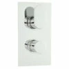 Hudson Reed Reign Twin Concealed Thermostatic Valve Rectangular Plate - REI3610 2 Hudson Reed Reign Twin Concealed Thermostatic Valve Rectangular Plate - REI3610 -Bathroom Products Sales Store hudson reed reign twin concealed thermostatic valve rectangular plate 30257.1652443797