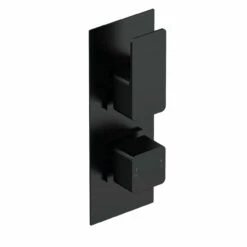 Nuie Windon Matt Black Twin Concealed Thermostatic Shower Valve - WIN4TW01