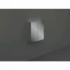 RAK Joy 600mm 2 Door Wall Hung Mirror Cabinet - JOYMC06002 -Bathroom Products Sales Store rak joy 600mm 2 door wall hung mirror cabinet joymc06002 57550.1652443299