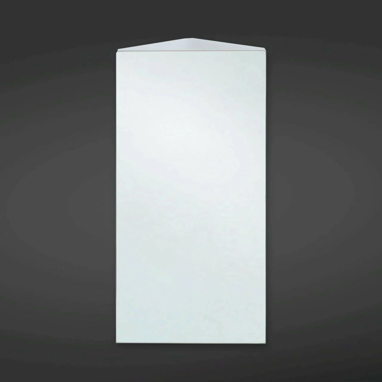 RAK Riva 650mm X 380mm X 280mm Single Stainless Steel Corner Cabinet With Mirrored Door - 12SL704HP