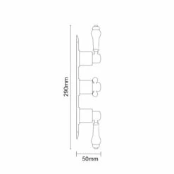 Windsor. Windsor Traditional Polished Chrome Concealed Triple Thermostatic Shower Valve - 2 Outlet 13 Windsor. Windsor Traditional Polished Chrome Concealed Triple Thermostatic Shower Valve - 2 Outlet -Bathroom Products Sales Store windsor traditional polished chrome concealed triple thermostatic shower valve line side 88753.1652444104